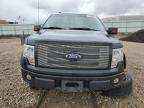 Bismarck, ND에서 판매 중인 2010 Ford F150 Supercrew - Side