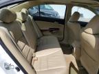 2011 Honda Accord Exl продається в Louisville, KY - Front End