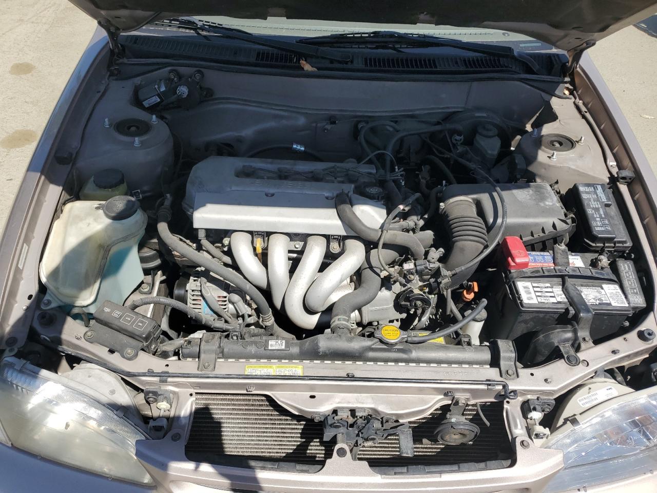 1998 Toyota Corolla Ve VIN: 1NXBR12E6WZ090958 Lot: 56405405
