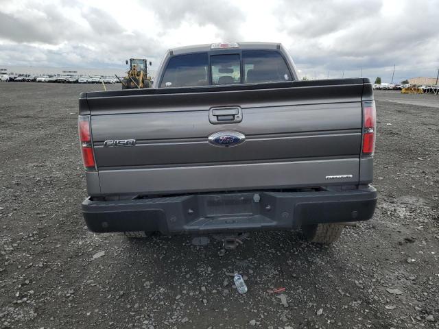  FORD F-150 2013 Szary