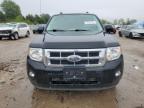 2010 Ford Escape Xlt   for Sale in Elgin, IL - Rear End