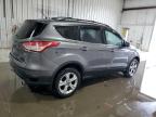 2013 Ford Escape Se for Sale in Albany, NY - Rear End