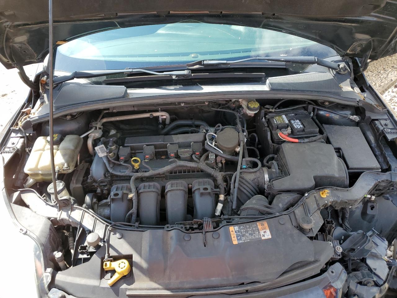 2014 Ford Focus Se VIN: 1FADP3F21EL318471 Lot: 56875565
