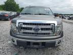 2013 Ford F150 Supercrew на продаже в Prairie Grove, AR - Side