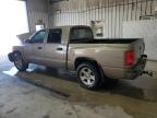2010 Dodge Dakota Sxt იყიდება York Haven-ში, PA - Front End