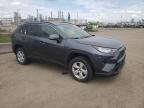 2019 TOYOTA RAV4 XLE for sale at Copart QC - MONTREAL