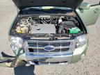 2010 Ford Escape Hybrid na sprzedaż w Lumberton, NC - Front End
