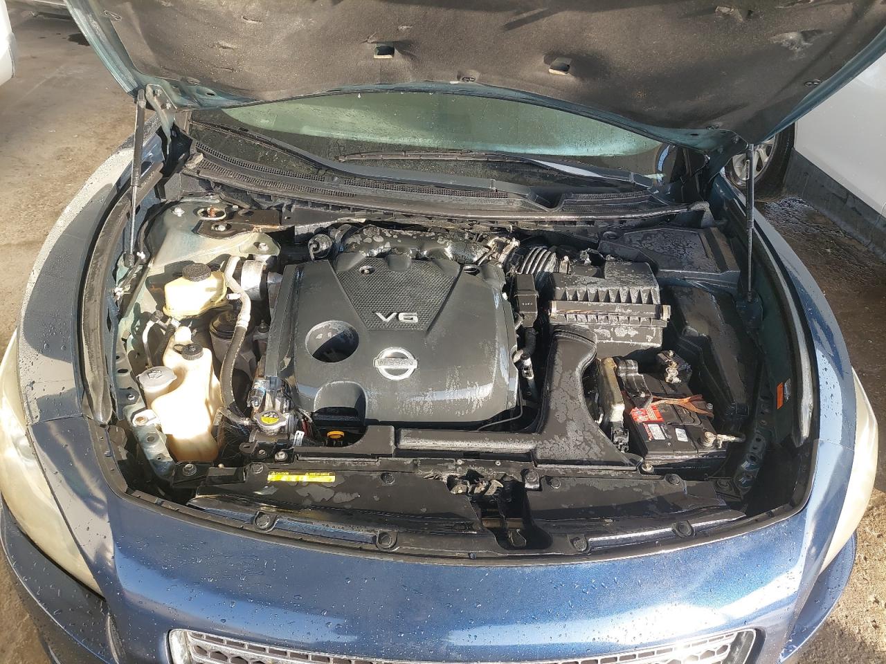 1N4AA5AP1BC822274 - 2011 Nissan MAXIMA - #undefined