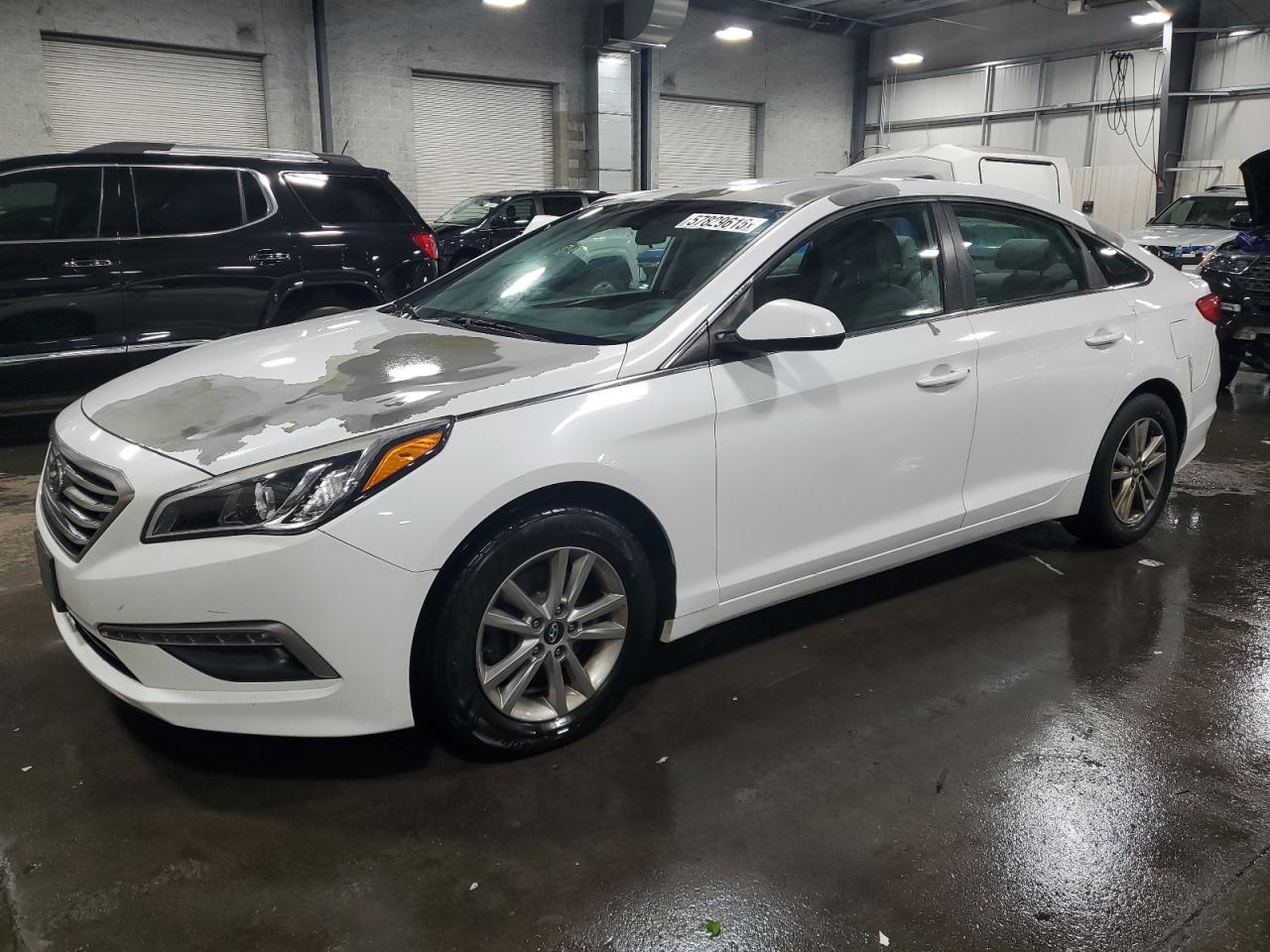 2015 Hyundai Sonata Se de vânzare în Ham Lake, MN - Rear End