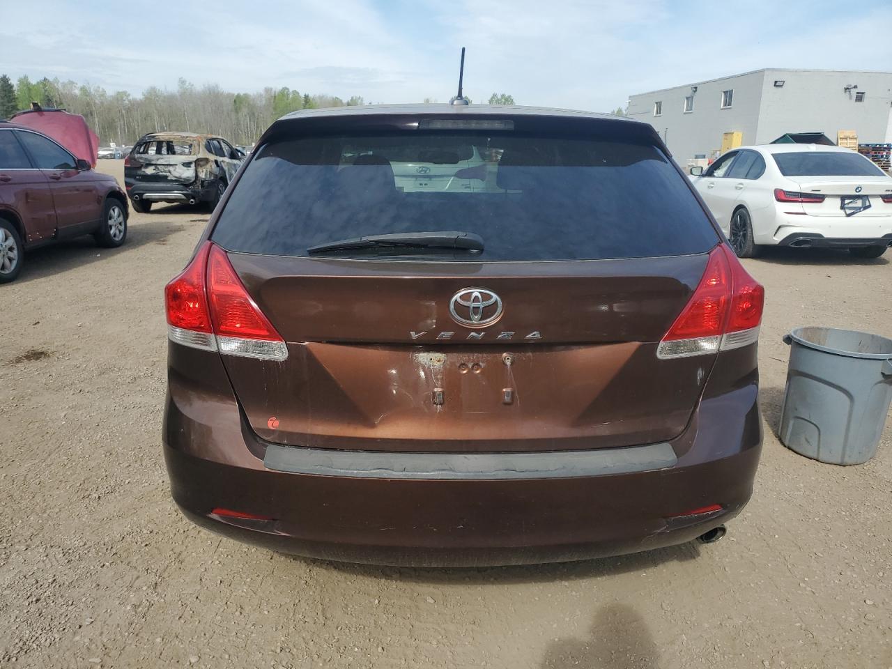 2010 Toyota Venza VIN: 4T3ZA3BB0AU034389 Lot: 55451075