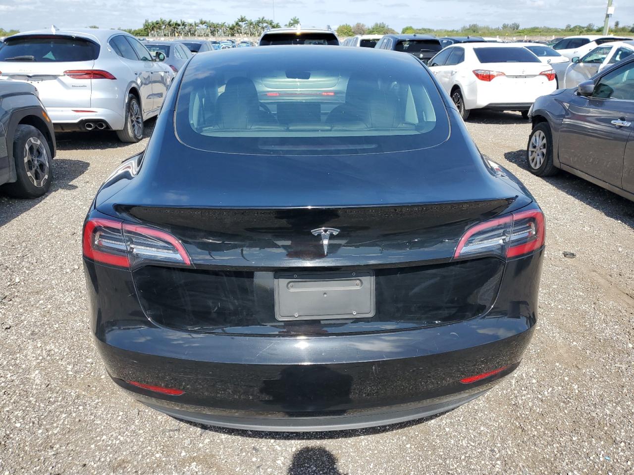 2023 Tesla Model 3 VIN: 5YJ3E1EA0PF449163 Lot: 56015055