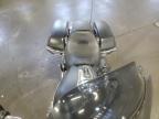 2017 Harley-Davidson Flhx Street Glide en Venta en Ham Lake, MN - Vandalism