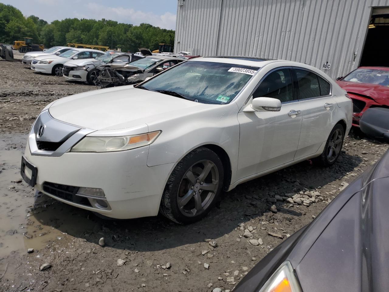 2010 Acura Tl للبيع في Windsor، NJ - Side
