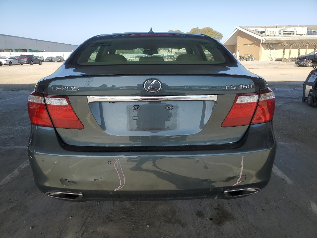 2009 Lexus Ls 460 VIN: JTHBL46F395089032 Lot: 56168925