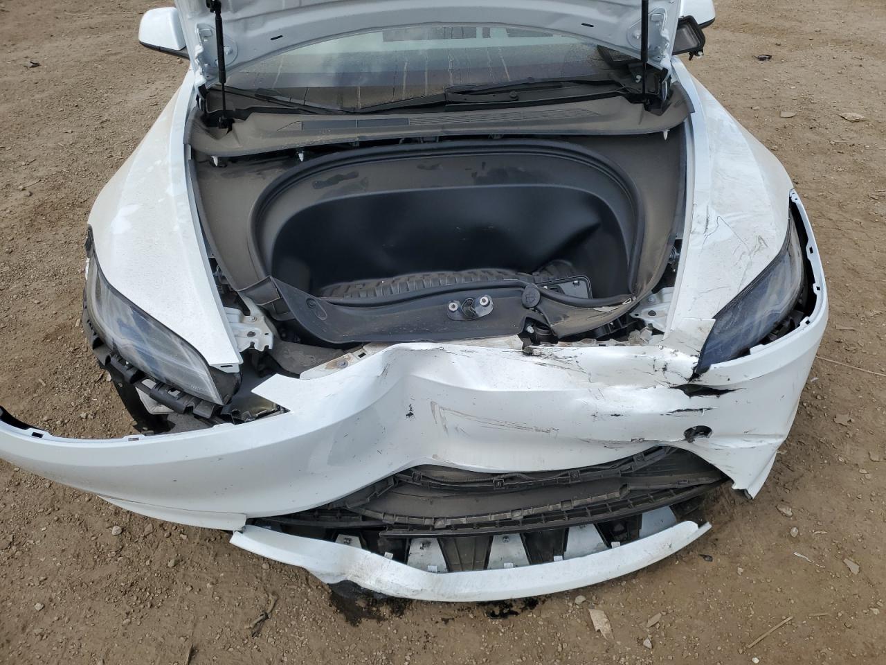2024 Tesla Model 3 VIN: 5YJ3E1EAXRF867300 Lot: 56859785