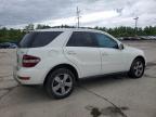 2010 Mercedes-Benz Ml 350 4Matic للبيع في Columbus، OH - Minor Dent/Scratches