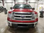 2013 Ford F150 Supercrew на продаже в Avon, MN - Rear End