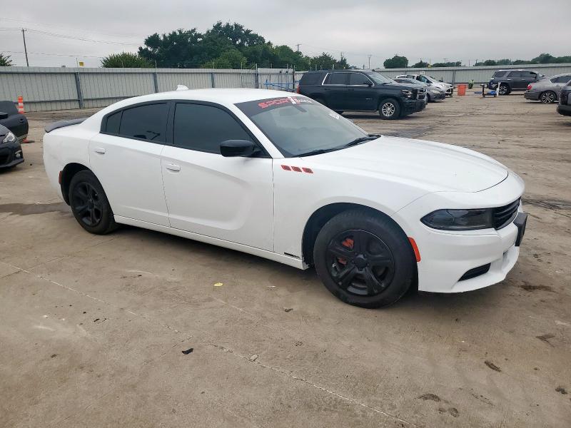  DODGE CHARGER 2023 Белый