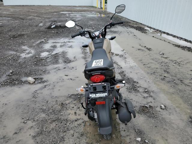  HONDA NVA110 B 2022 Цвет загара