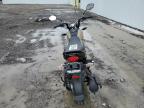 Angola, NY에서 판매 중인 2022 Honda Nva110 B - Normal Wear