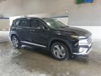 2023 Hyundai Santa Fe Sel Premium for Sale in Sandston, VA - Side
