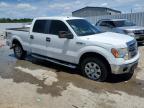 2013 Ford F150 Supercrew   for Sale in Louisville, KY - Front End