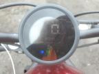 2023 Honda Cmx300  for Sale in East Granby, CT - Side