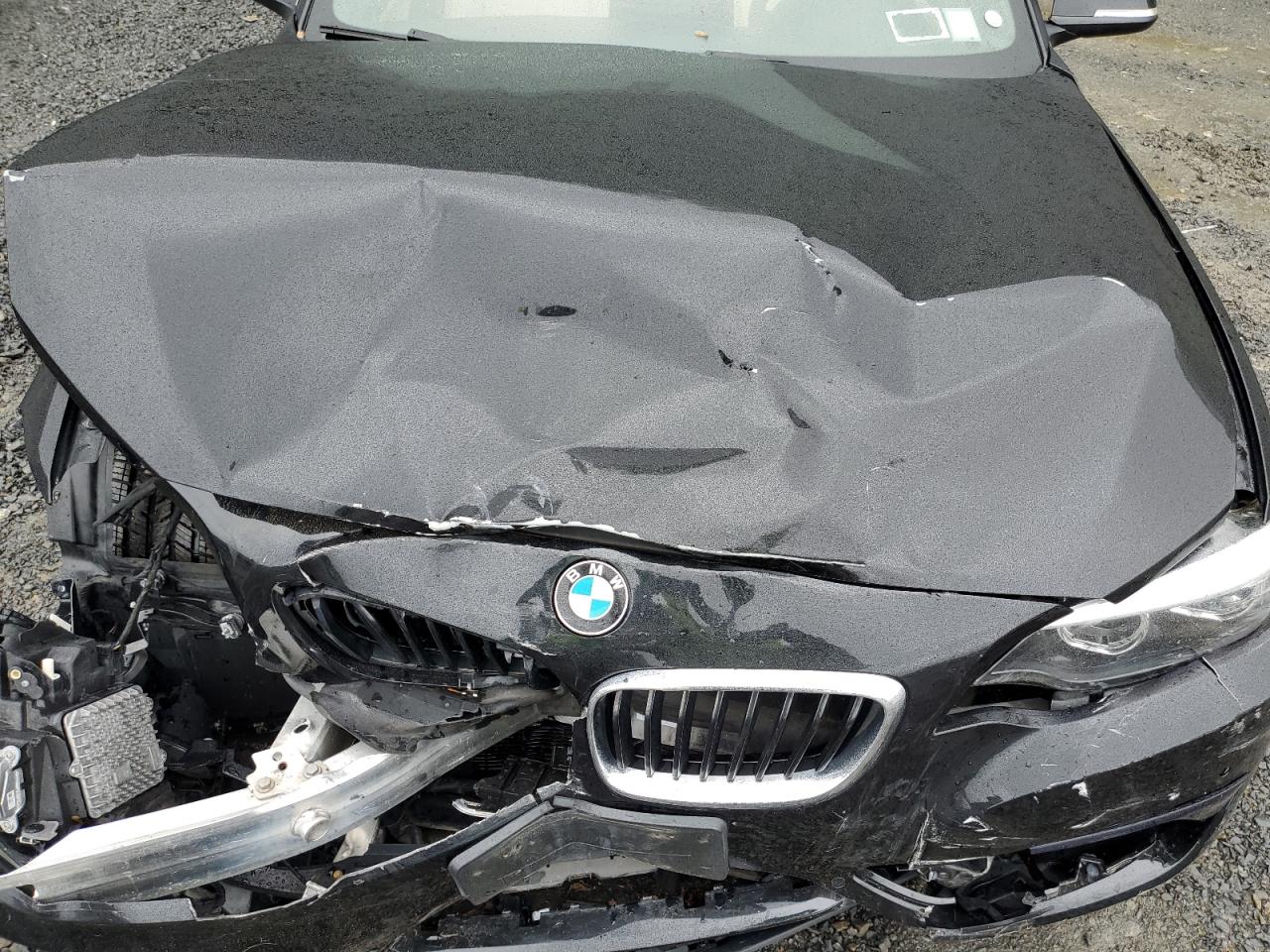 2018 BMW 230Xi VIN: WBA2K1C5XJVD41748 Lot: 58293985