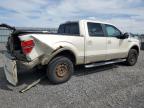 2009 FORD F150 SUPERCREW   for sale at Copart ON - OTTAWA