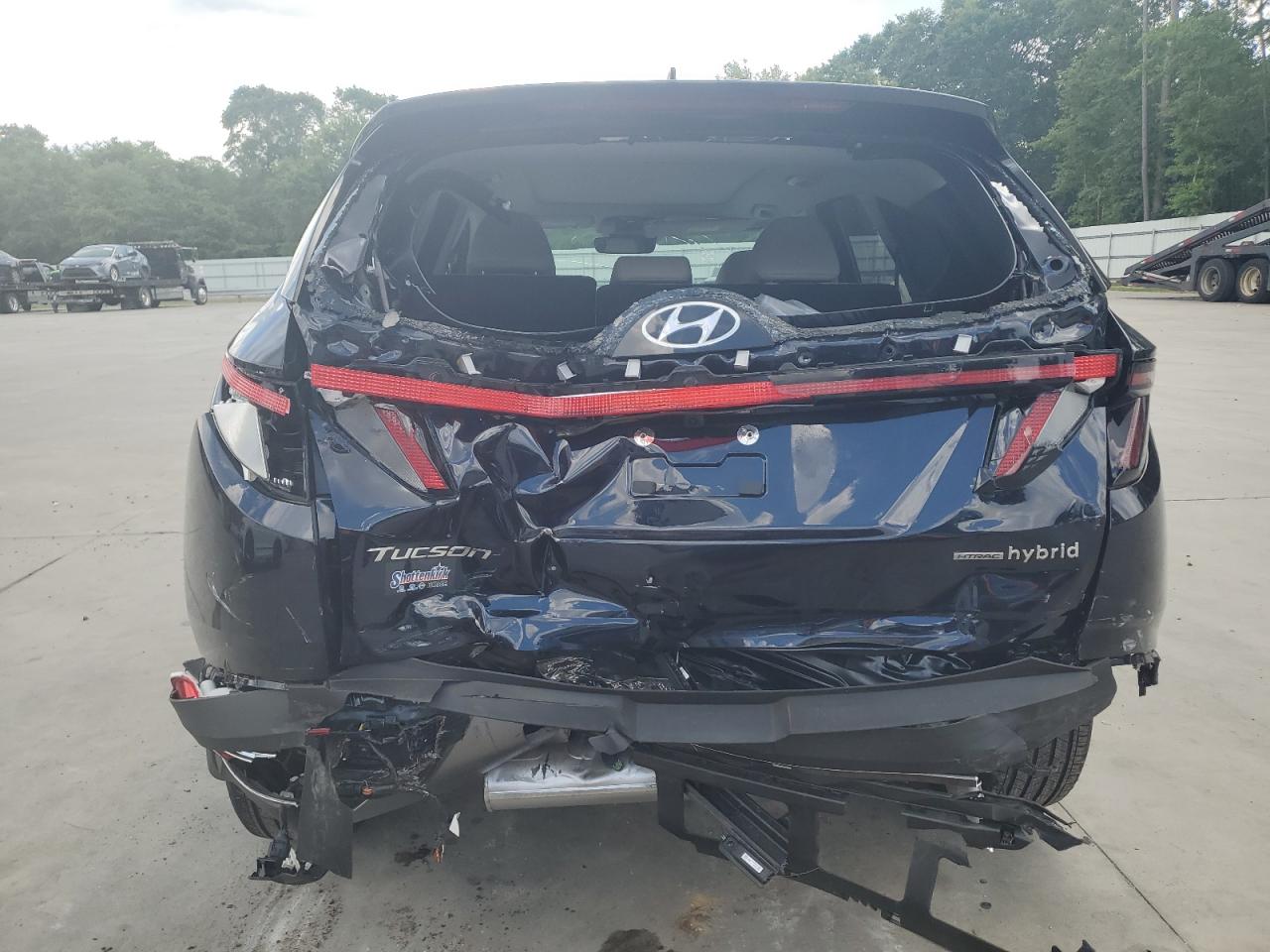2024 Hyundai Tucson Limited VIN: KM8JECD11RU170511 Lot: 56724175
