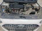 2019 Hyundai Sonata Limited на продаже в Grand Prairie, TX - Minor Dent/Scratches