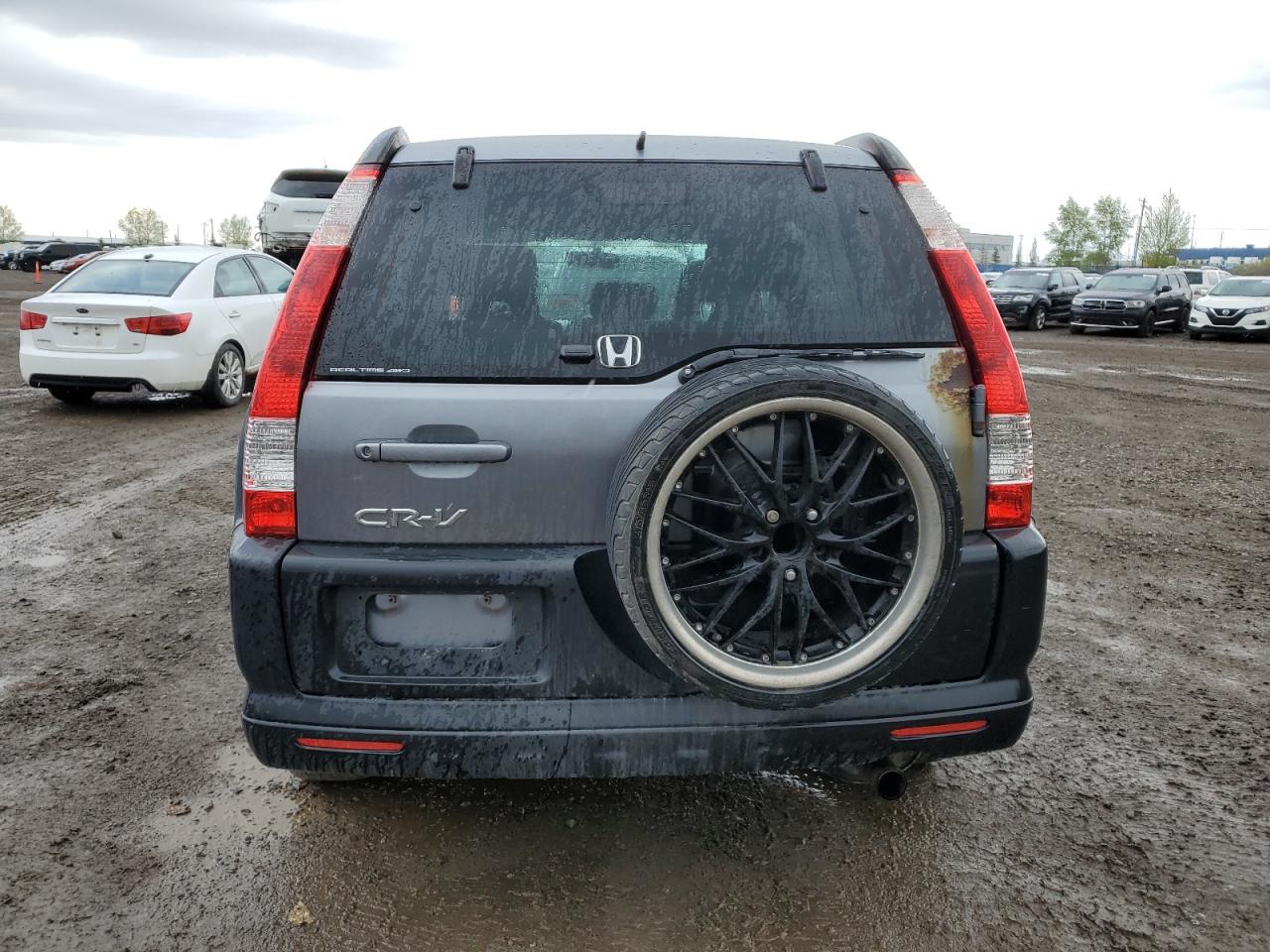 2005 Honda Cr-V Ex VIN: JHLRD78865C807310 Lot: 56714165