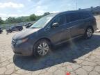 2015 Honda Odyssey Exl на продаже в Lebanon, TN - All Over
