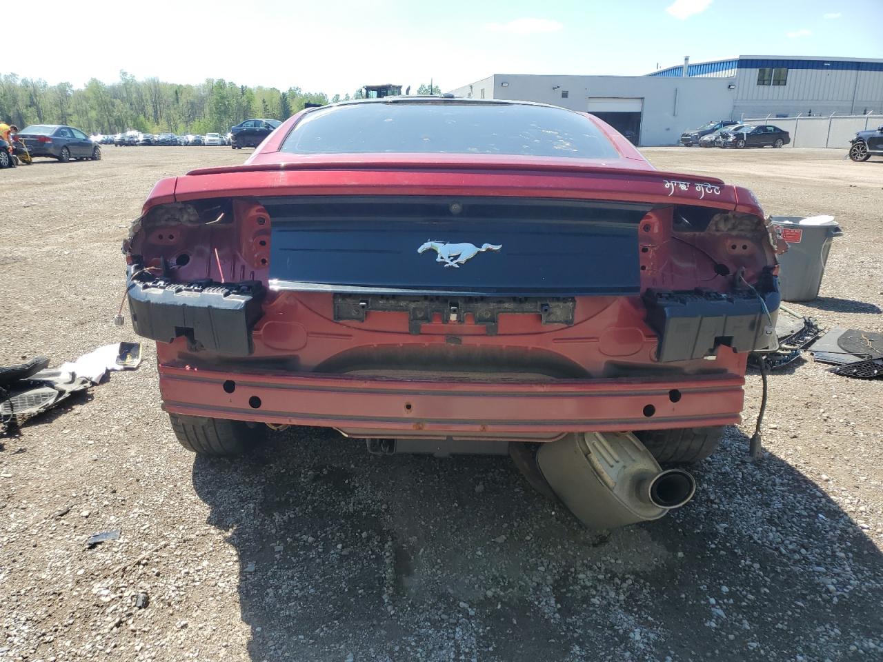 2019 Ford Mustang VIN: 1FA6P8TH3K5162786 Lot: 55470575