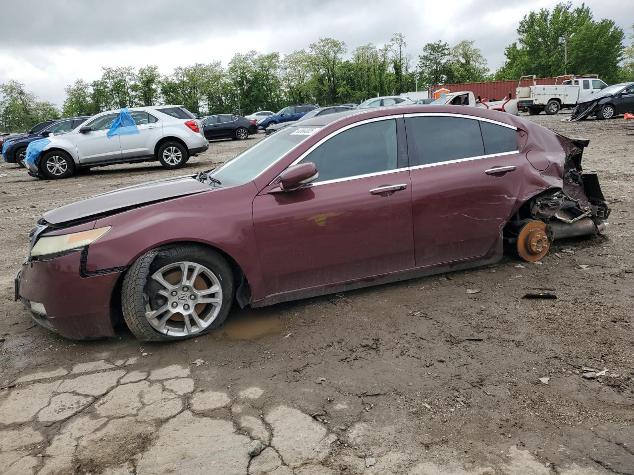 2009 Acura Tl للبيع في Baltimore، MD - Front End