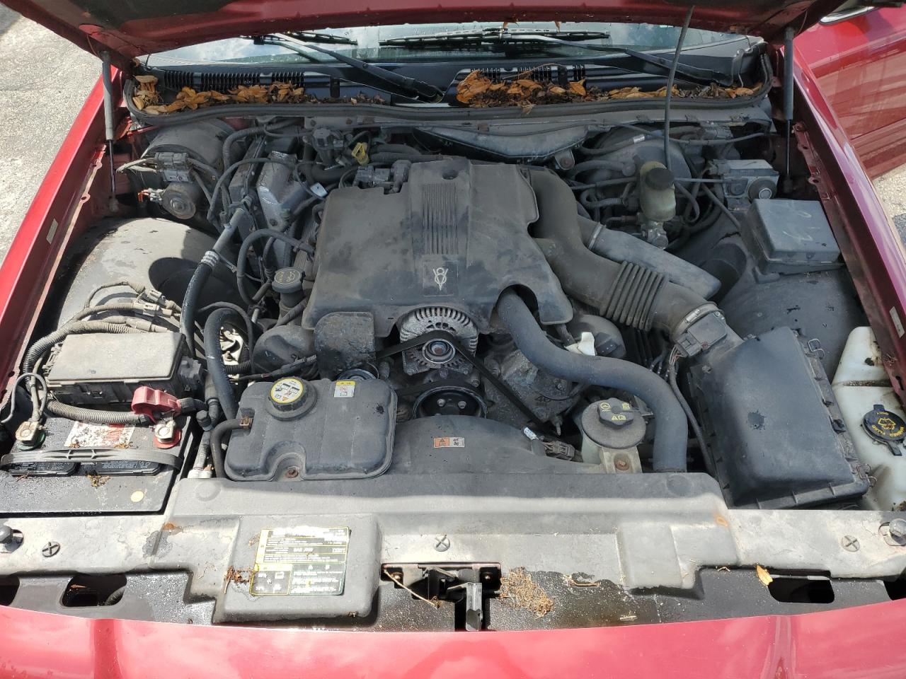 2003 Ford Crown Victoria VIN: 2FAFP73W03X103560 Lot: 57647455