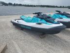 2023 Seadoo Gtx 130 на продаже в Arcadia, FL - Side