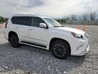 2018 Lexus Gx 460 for Sale in Barberton, OH - Front End