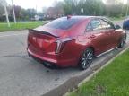 Woodhaven, MI에서 판매 중인 2022 Cadillac Ct4-V Blackwing - Minor Dent/Scratches