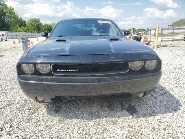DODGE CHALLENGER 2013 Two tone