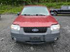 2005 Ford Escape Xlt იყიდება Marlboro-ში, NY - Rear End
