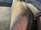 2011 Club Golf Cart for Sale in West Palm Beach, FL - Water/Flood