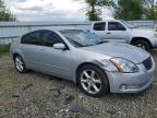 2005 Nissan Maxima Se for Sale in Windsor, NJ - Rear End