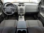 2010 FORD ESCAPE XLT for sale at Copart ON - TORONTO