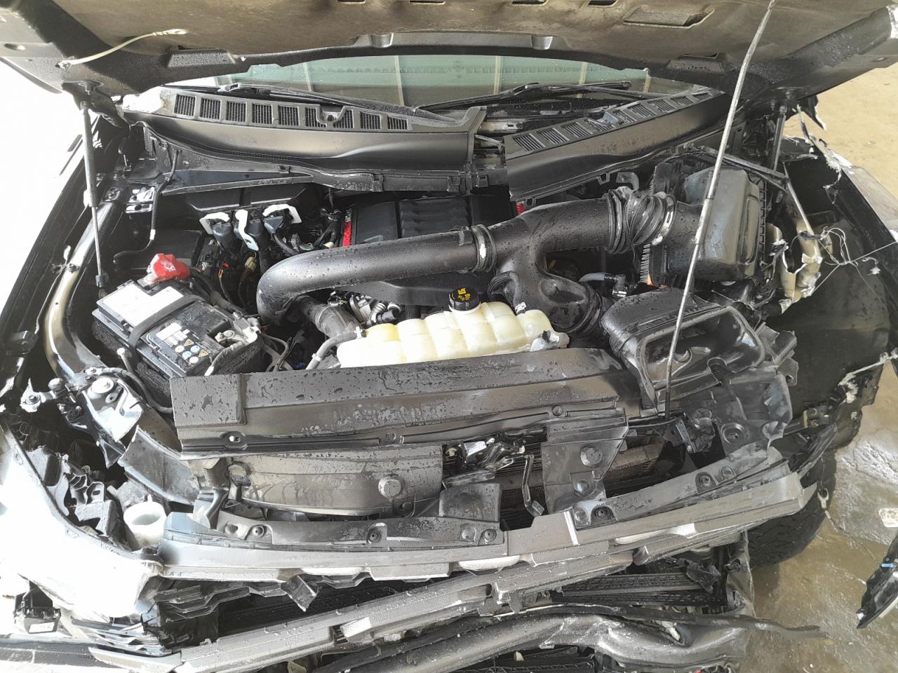 1FTFW1RG0NFB40214 - 2020 Ford F150 RAPTO - #58674315