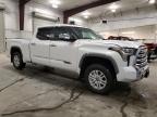 Avon, MN에서 판매 중인 2024 Toyota Tundra Crewmax Platinum   - Rear End