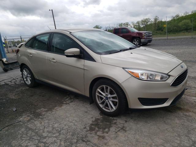  FORD FOCUS 2018 Цвет загара