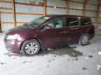 2014 Honda Odyssey Exl for Sale in Lawrenceburg, KY - Hail