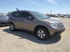2014 Honda Cr-V Lx for Sale in American Canyon, CA - Rear End