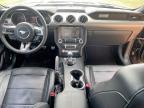 2015 Ford Mustang Gt for Sale in Grand Prairie, TX - Hail